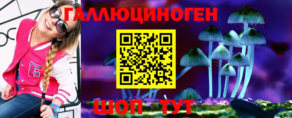 Псилоцибиновые грибы мухоморы  Вход с VPN  Зима 