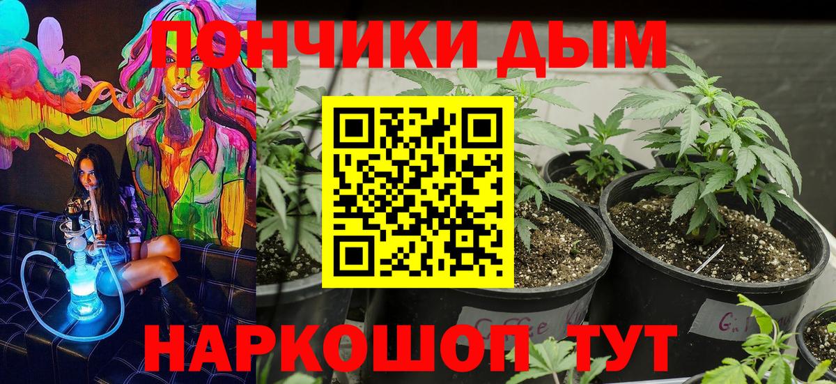 Марихуана конопля  Конопля SATIVA & INDICA  Зима  Бошки Шишки OG Kush  Вход с VPN 