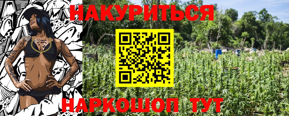 Канабис ГИДРОПОН Зима
